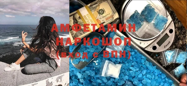 дживик Няндома