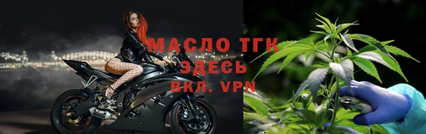 дживик Няндома