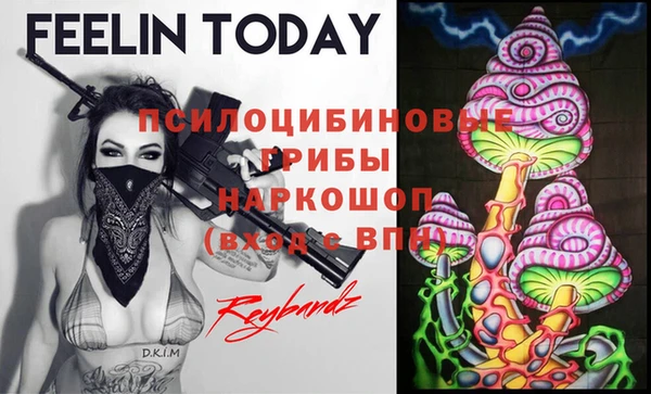 дживик Няндома