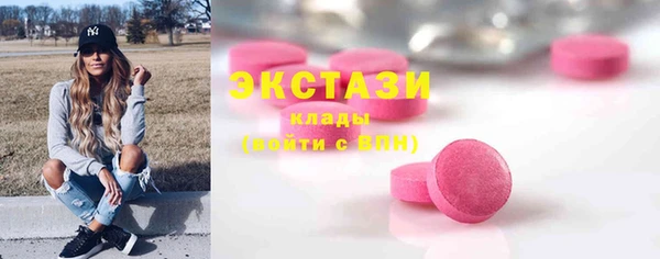 дживик Няндома