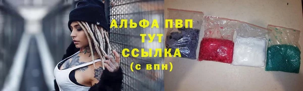 ГАЛЛЮЦИНОГЕННЫЕ ГРИБЫ Горно-Алтайск