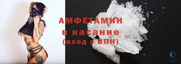 дживик Няндома