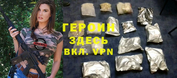 дживик Няндома