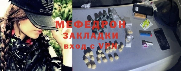 дживик Няндома