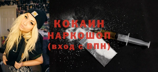 дживик Няндома
