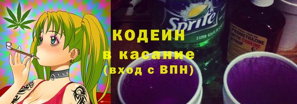 дживик Няндома