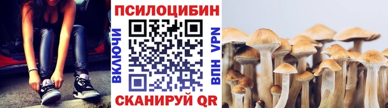 Псилоцибиновые грибы MAGIC MUSHROOMS  хочу   Ак-Довурак 